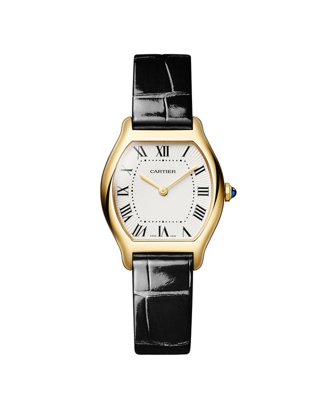 Tortue watch