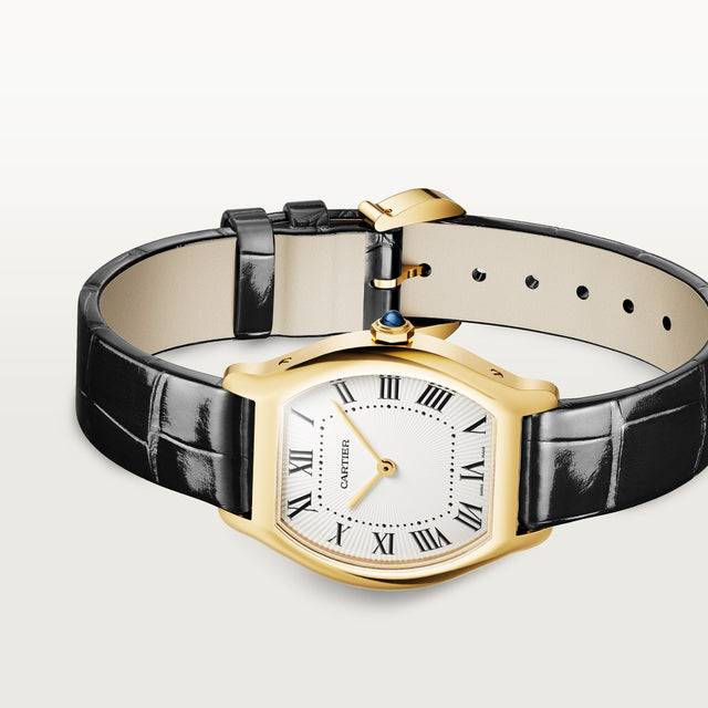 Tortue watch