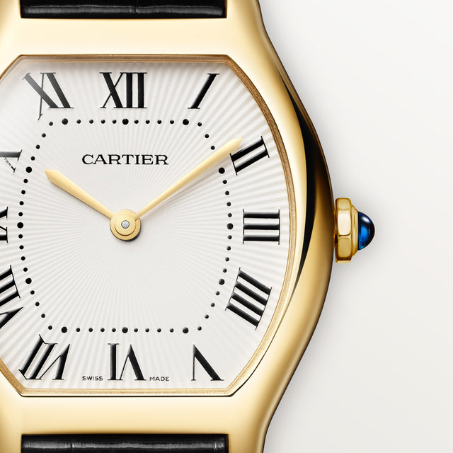 Tortue watch