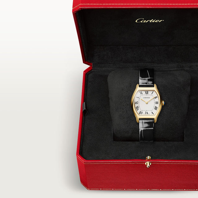 Tortue watch