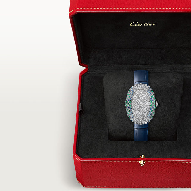 Baignoire watch