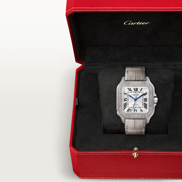 Santos de Cartier watch