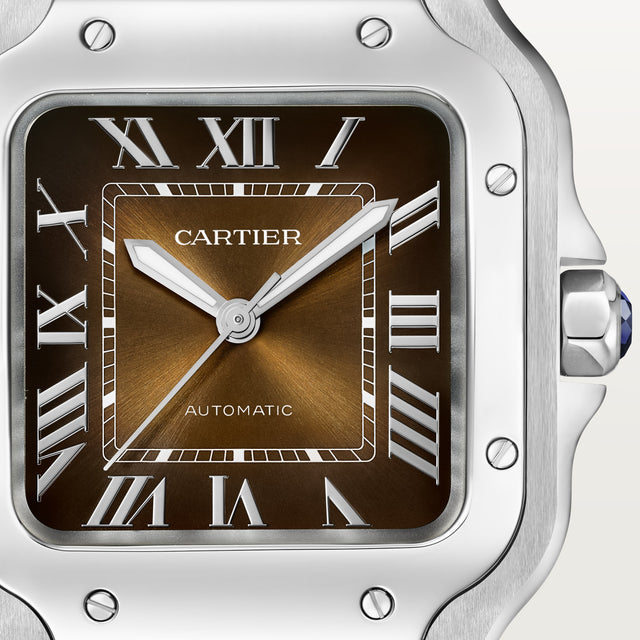 Santos de Cartier watch