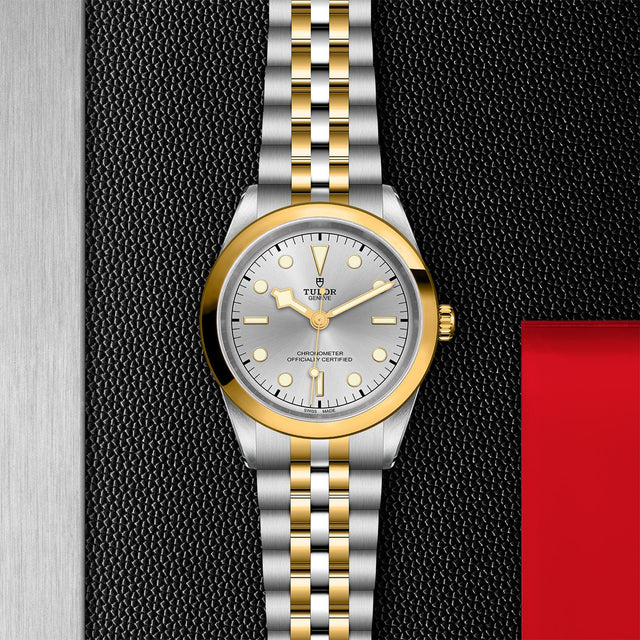 Tudor Watch Assets M79683 0002 Instore Flatlay