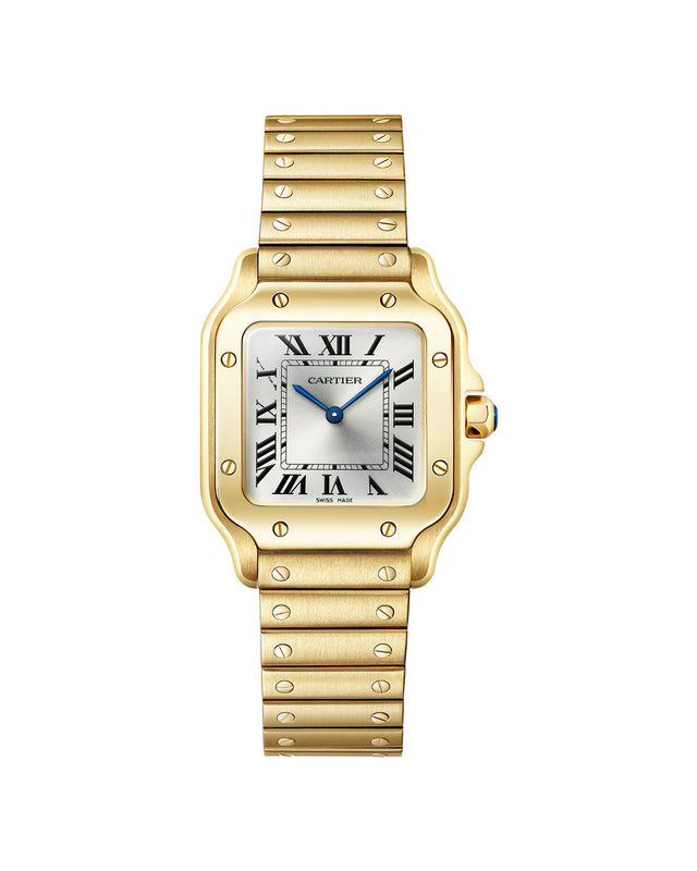 Santos de Cartier watch