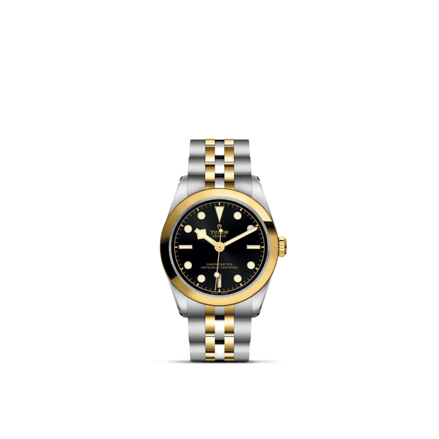 TUDOR Black Bay One 31 S&G