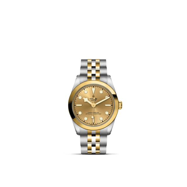 TUDOR Black Bay One 31 S&G