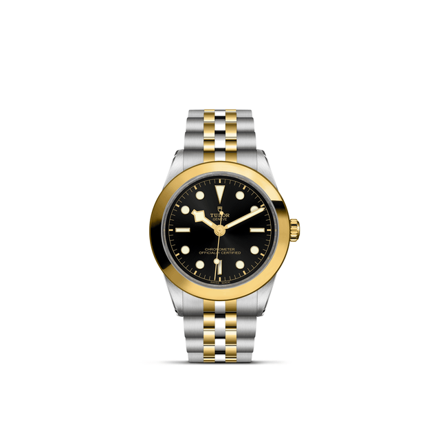 TUDOR Black Bay One 39 S&G