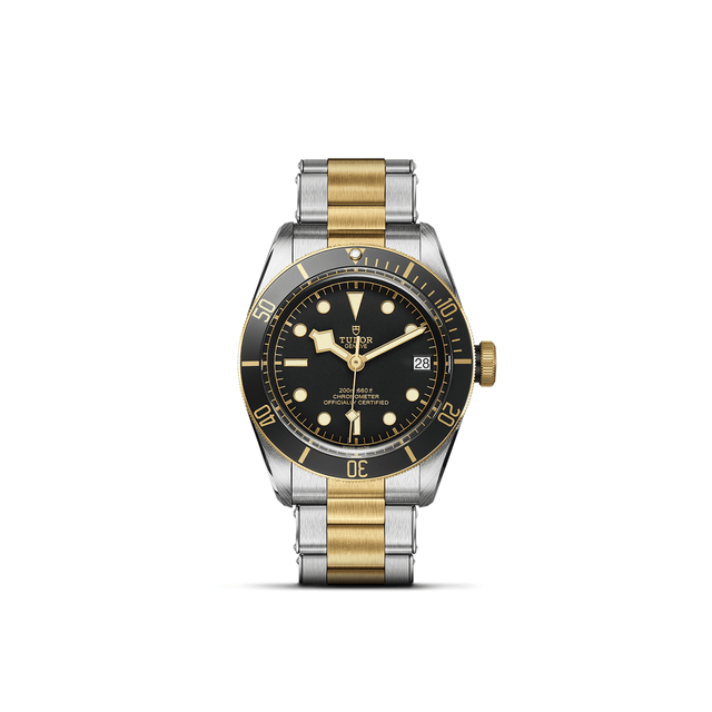 TUDOR Black Bay S&G