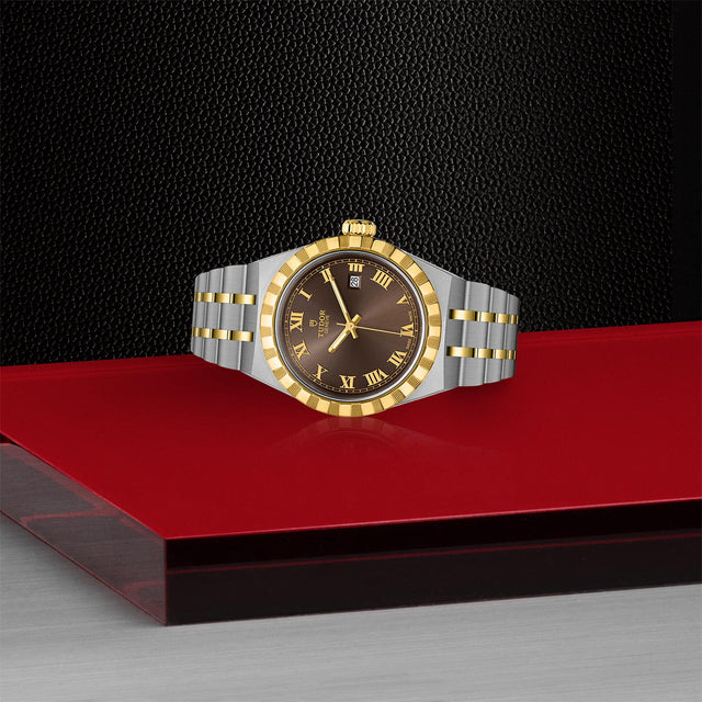 tudor m28303 0008 in store laying down