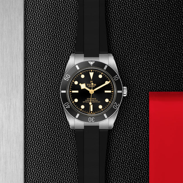 tudor m79000n 0002 in store flat lay