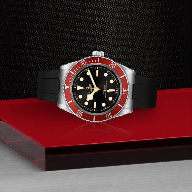 tudor m7941a1a0ru 0002 in store laying down