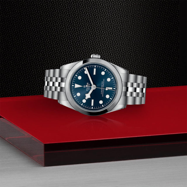 tudor m79640 0002 in store laying down