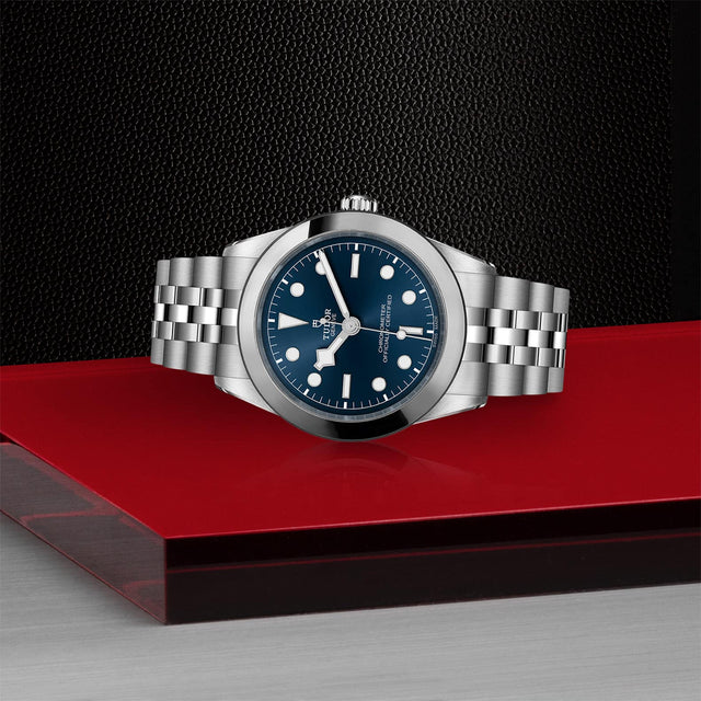 tudor m79660 0002 in store laying down